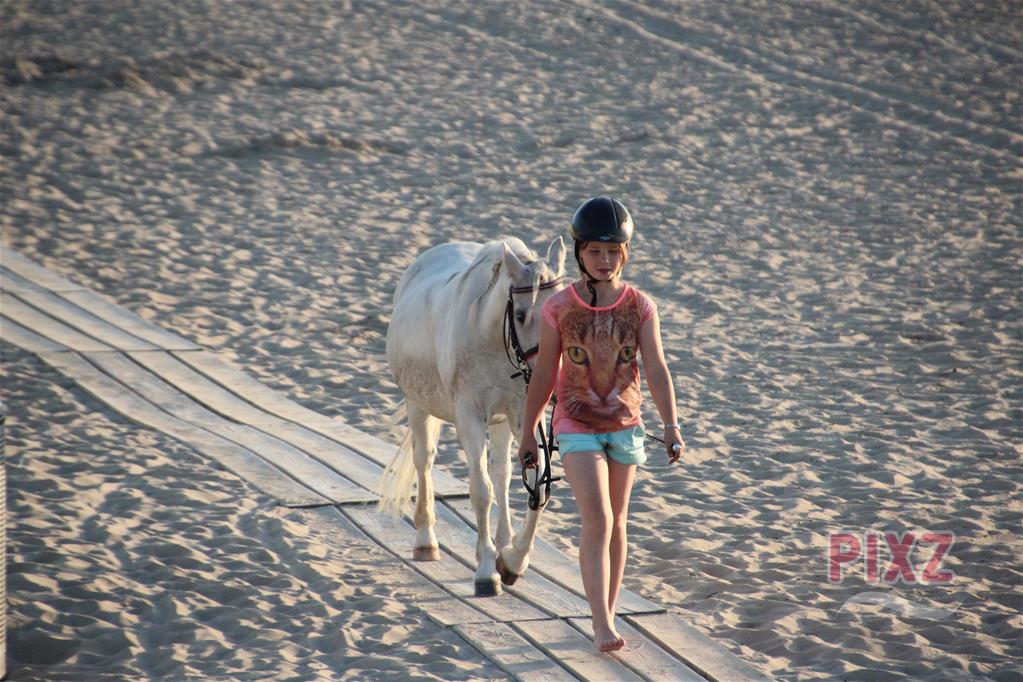 girl and horse on beach