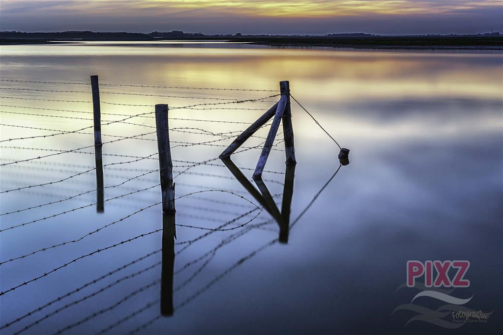 Fence in the lake