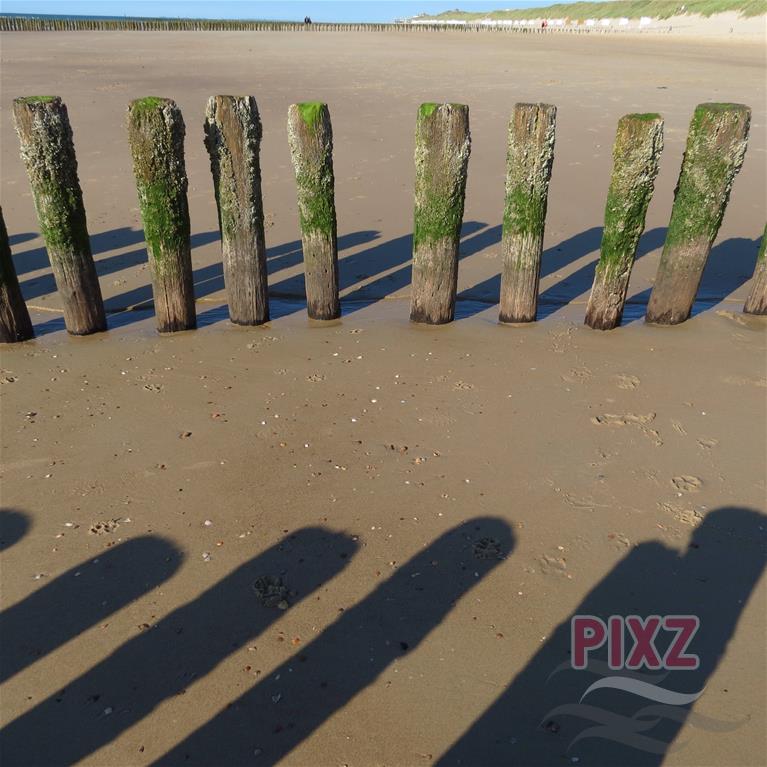 PIXZ Van Wollyfoto