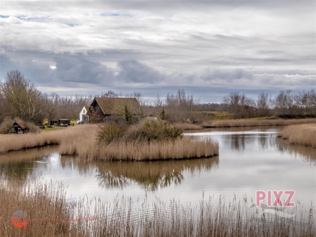 reflectie in de polder