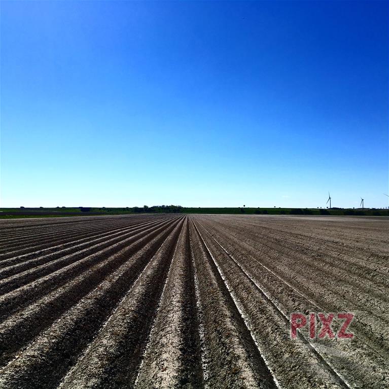 Aardappelvelden 