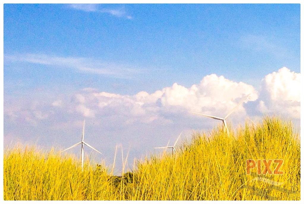 Windmills - Banjaard