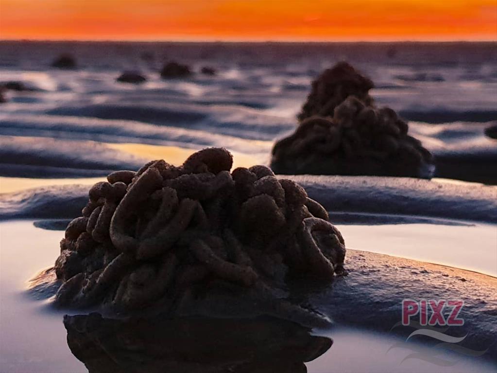 Zonsondergang zeepieren