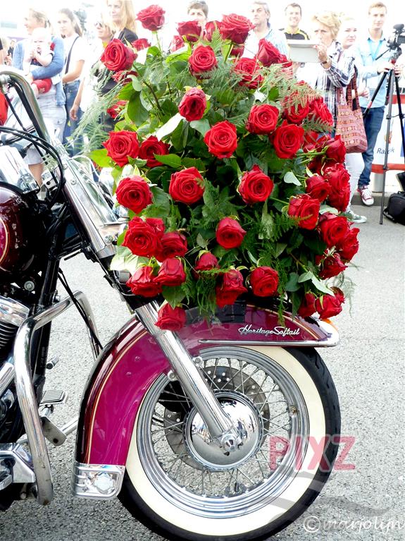Roses and Harley, mooie combi 