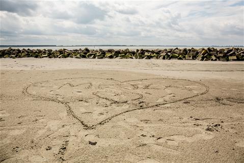love is in the sand