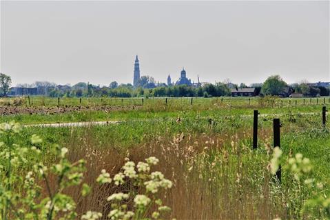 Skyline van Middelburg