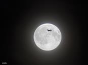 Fly me to the moon..