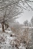 Sneeuw in Arnemuiden 