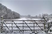 Sneeuw in Arnemuiden 